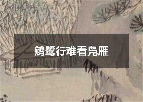 鹓鹭行难看凫雁