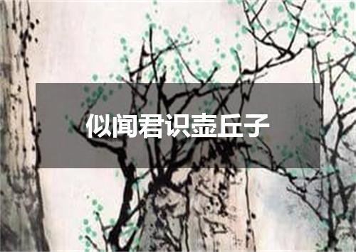似闻君识壶丘子