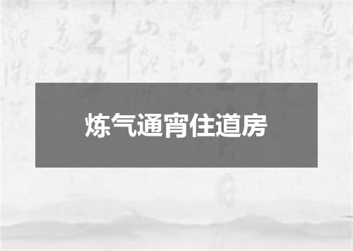 炼气通宵住道房