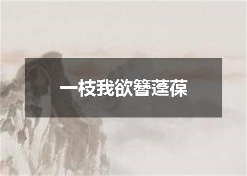 一枝我欲簪蓬葆