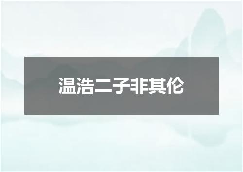温浩二子非其伦