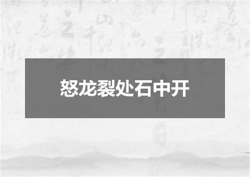 怒龙裂处石中开