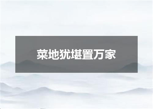 菜地犹堪置万家