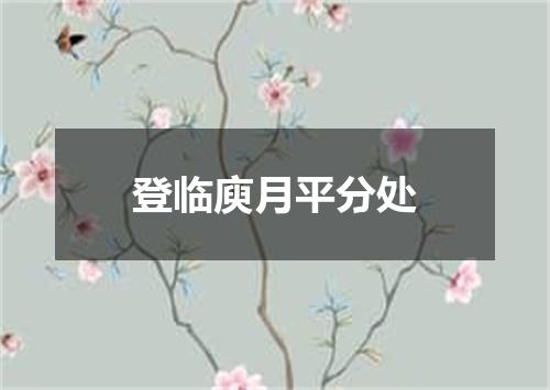登临庾月平分处