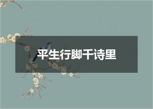 平生行脚千诗里