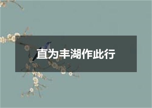 直为丰湖作此行