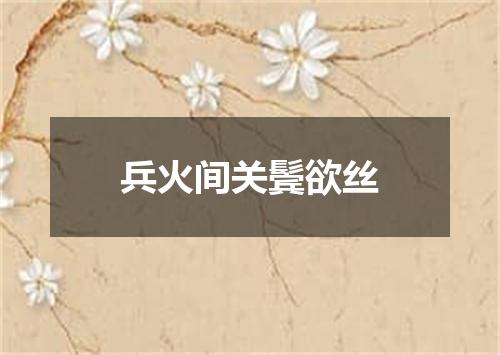 兵火间关鬓欲丝