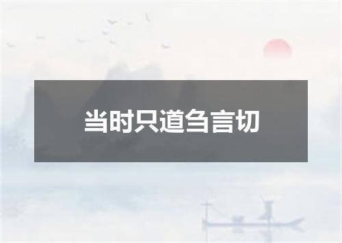 当时只道刍言切