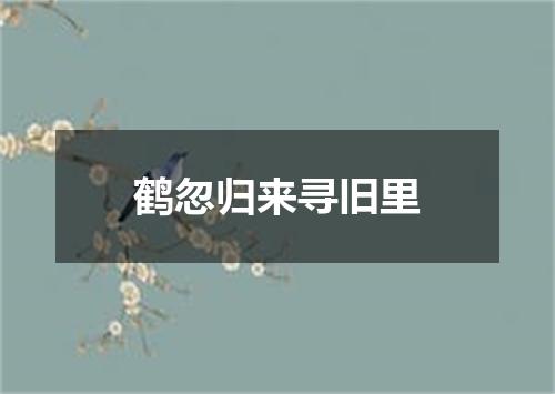 鹤忽归来寻旧里