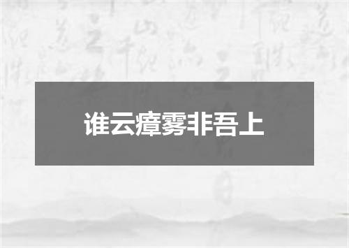 谁云瘴雾非吾上