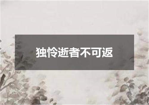 独怜逝者不可返