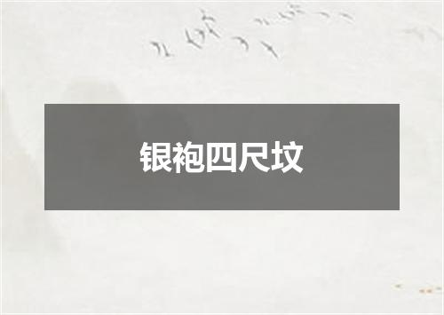 银袍四尺坟