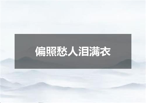 偏照愁人泪满衣