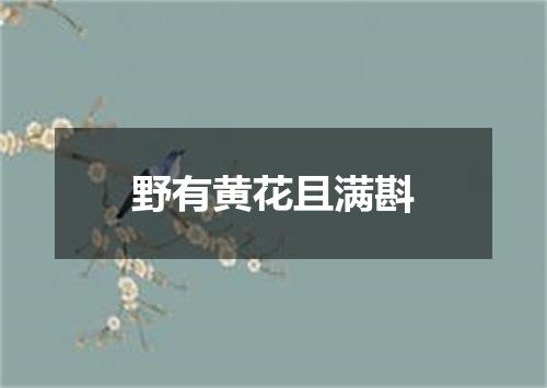 野有黄花且满斟