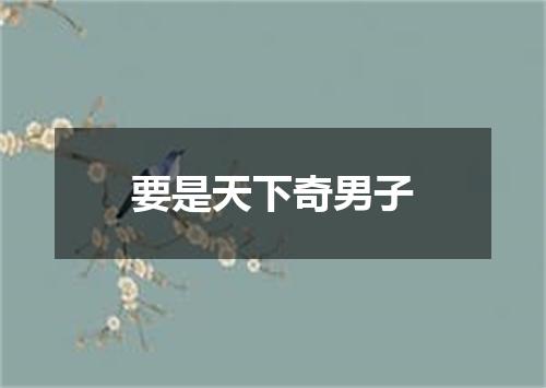 要是天下奇男子