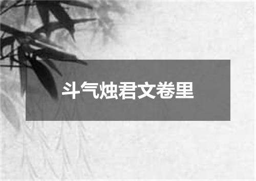 斗气烛君文卷里