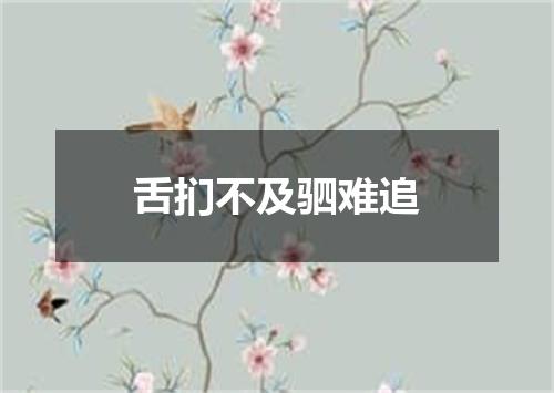 舌扪不及驷难追