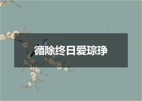 循除终日爱琮琤