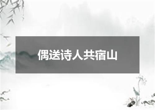 偶送诗人共宿山