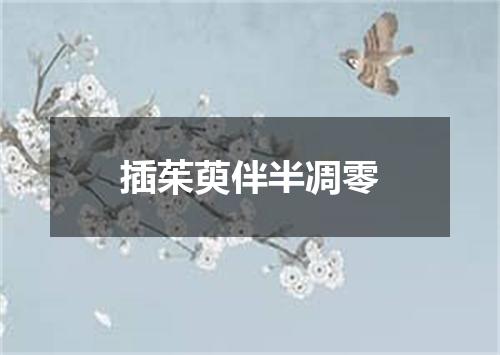 插茱萸伴半凋零
