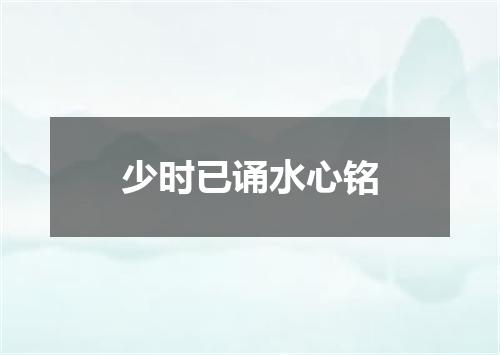 少时已诵水心铭