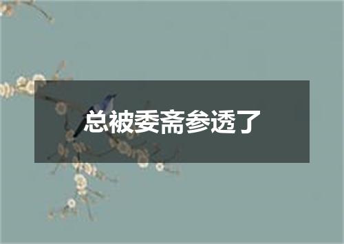 总被委斋参透了