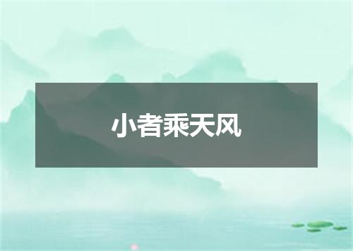 小者乘天风