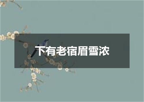 下有老宿眉雪浓