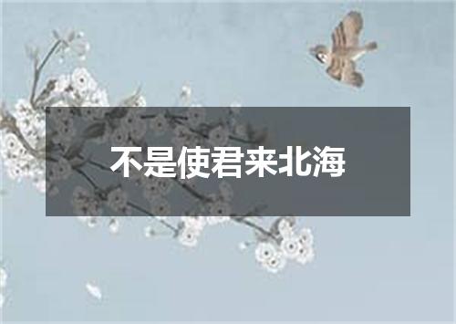 不是使君来北海