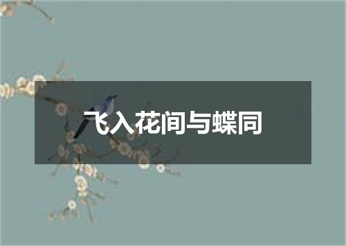 飞入花间与蝶同