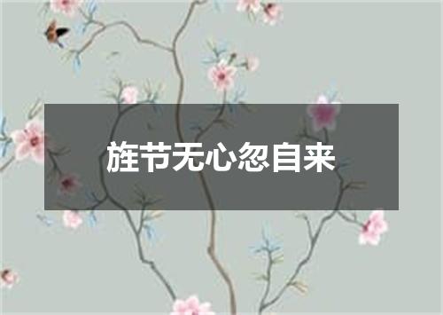 旌节无心忽自来