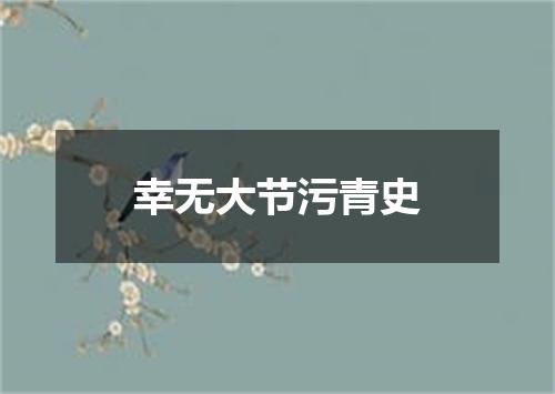 幸无大节污青史