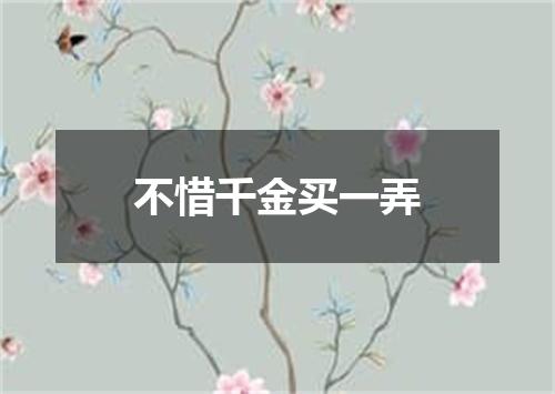 不惜千金买一弄
