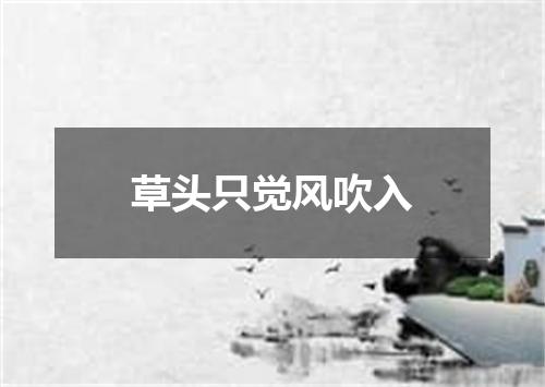草头只觉风吹入