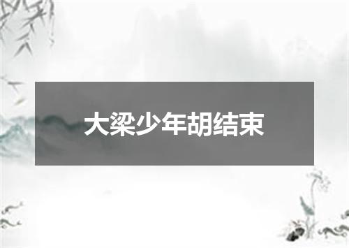 大梁少年胡结束