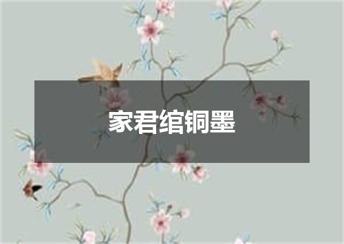 家君绾铜墨