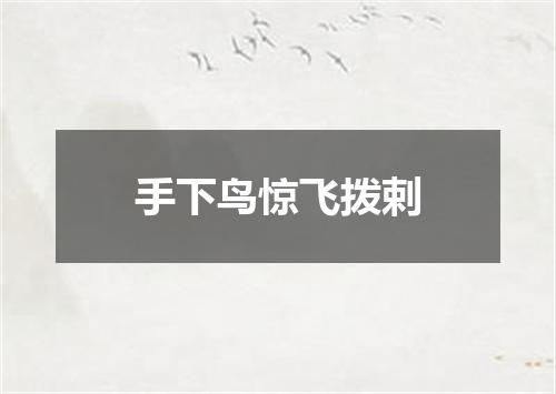 手下鸟惊飞拨剌