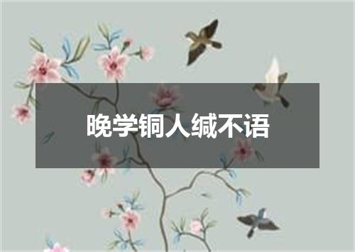 晚学铜人缄不语