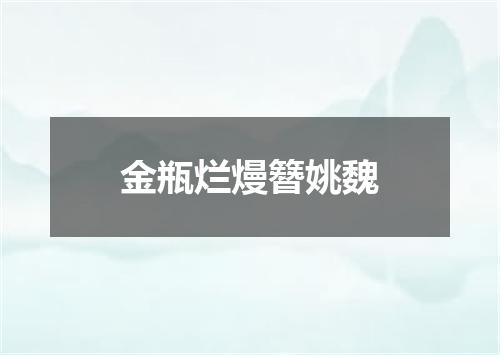 金瓶烂熳簪姚魏