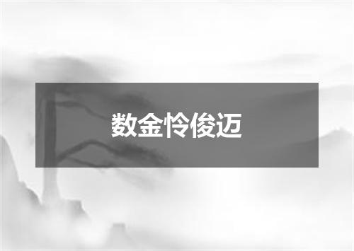 数金怜俊迈
