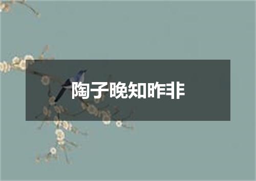 陶子晚知昨非