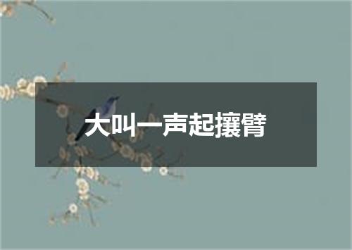 大叫一声起攘臂