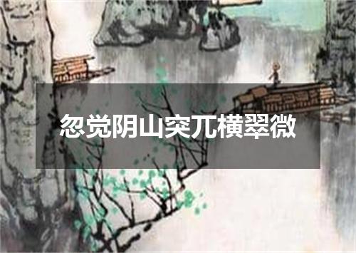 忽觉阴山突兀横翠微