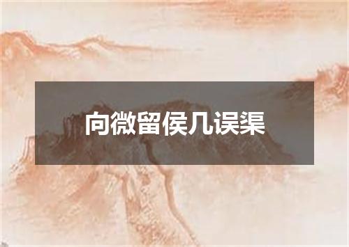 向微留侯几误渠