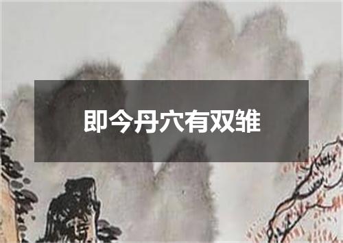 即今丹穴有双雏