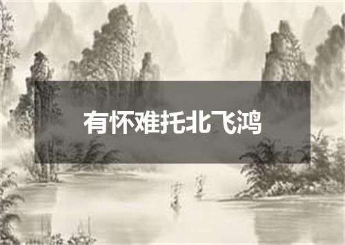 有怀难托北飞鸿