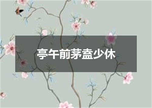 亭午前茅盍少休