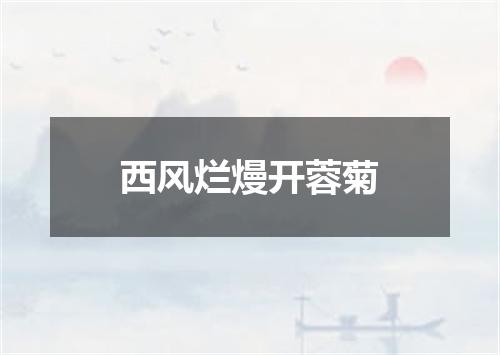 西风烂熳开蓉菊