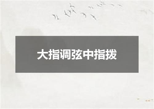 大指调弦中指拨