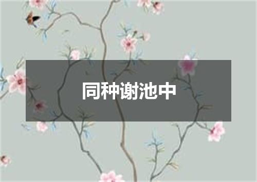 同种谢池中